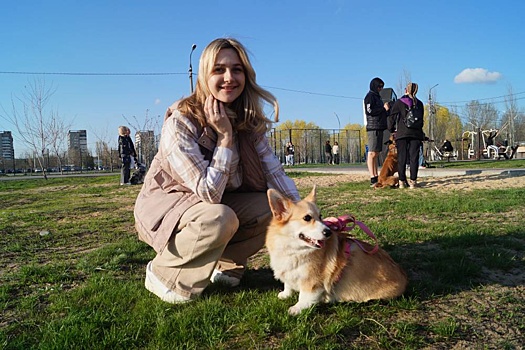 Собаки со всей России поучаствовали в соревнованиях за звание лучшей ищейки