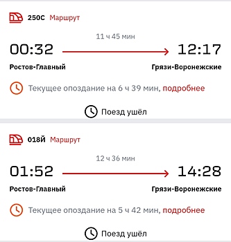 Южные поезда опаздывают на 7 часов из-за падения беспилотника