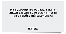 На руководство барнаульского лицея завели дело о халатности из-за избиений школьника