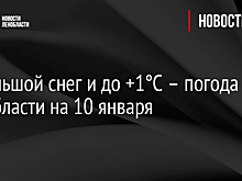Небольшой снег и до +1°C – погода в Ленобласти на 10 января
