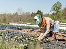 ФосАгро получила наивысшую оценку в рейтинге лучших работодателей России по версии Forbes