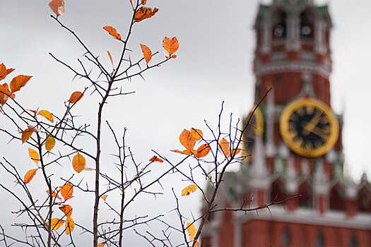 В Москве в среду ожидается до -3°С