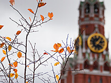 В Москве в пятницу ожидается до +2°С