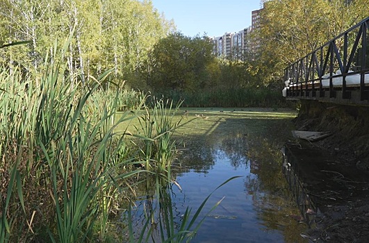 В Новосибирске парк в пойме Каменки не сдадут в 2023 году