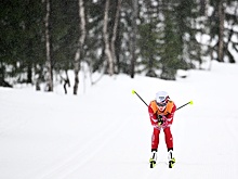 Коростелев и Непряева не смогли выйти в полуфинал спринта на этапе Кубка мира