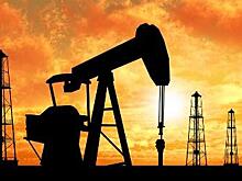 Специалисты назвали объем сокращения добычи нефти в Америке
