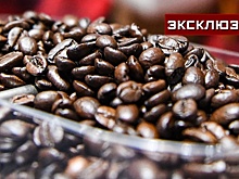 Эксперт Чантурия рассказал, как «антикофейный» закон ЕС скажется на ценах в РФ