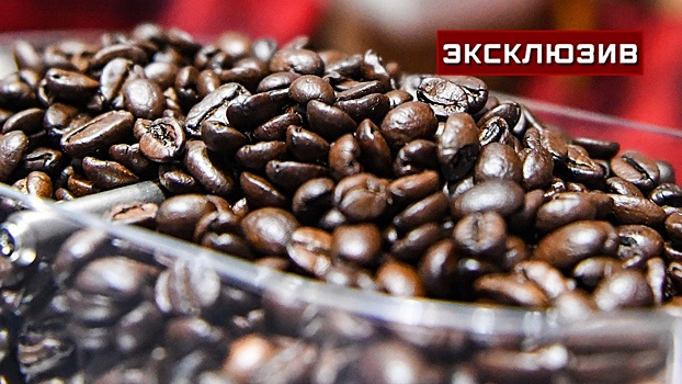 Эксперт Чантурия рассказал, как «антикофейный» закон ЕС скажется на ценах в РФ