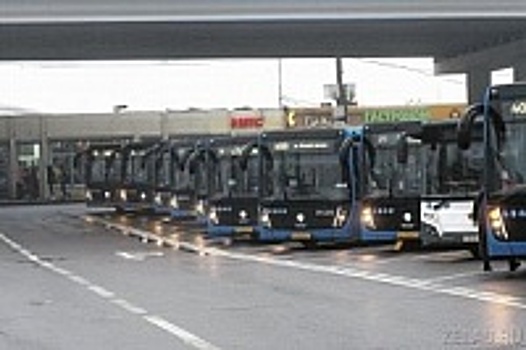 Компенсационный автобусный маршрут в Крюково необходим