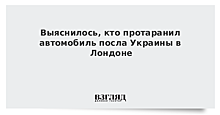 Протаранивший машину посла Украины в Лондоне признан психически больным