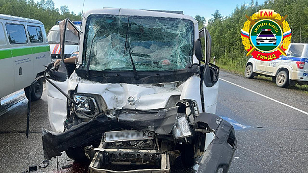 В Магдагачинском районе водитель Nissan Vanette погиб в ДТП с грузовиком