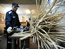 Депутат указал на несправедливость начисления трудового стажа для заключенных