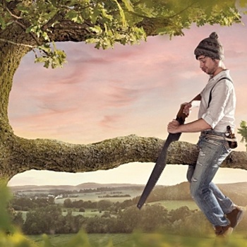 Как спилить дерево безопасно для себя и окружающих