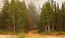 На севере Иркутской области локализовали крупные лесные пожары
