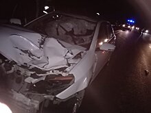 На трассе под Саратовом водитель на иномарке насмерть сбил двух пешеходов