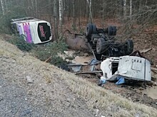 Шесть человек пострадали при столкновении автобуса и грузовика в Белоруссии