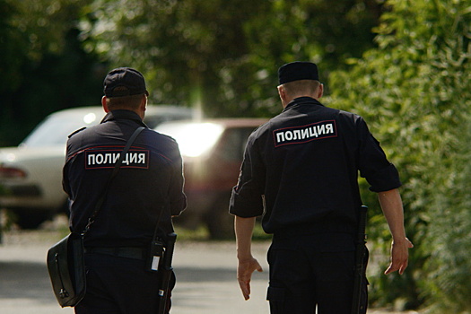 В российском регионе завели дело на полицейских, посадивших ребенка в багажник