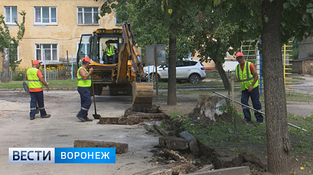 Первыми в Воронеже озеленят улицы, которые встречают гостей города