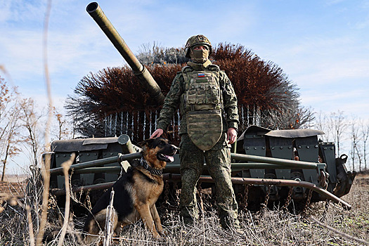 ВС России за неделю освободили восемь населенных пунктов