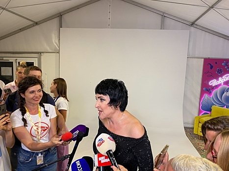 Критик Соседов призвал Лолиту подать в суд на общественников после отмены концертов