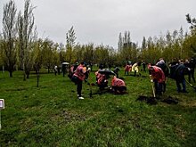 Татарстанцев предупредили о сильном дожде и ветре в четверг
