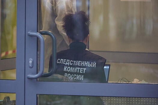 Тело новорожденного нашли в мусорке на Алтае