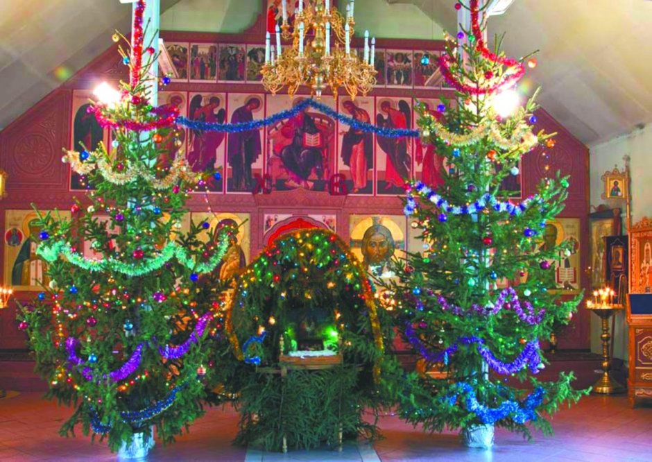 В Тамбове в ночь на Рождество запустят дополнительный общественный транспорт