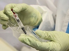 Миллионы украинских беженцев привезли в Европу опасные болезни