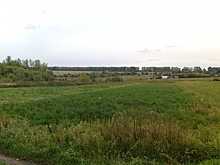 «Поля в воде»: в Омской области ввели режим ЧС из-за переувлажнения почвы в районах