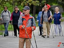 В Тюменской области проведут эксперимент по дистанционному мониторингу здоровья