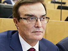 Суд пересмотрит отказ снимать с выборов в Госдуму кузбасского единоросса с иностранными активами