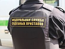 Кубанец выплатил долг по алиментам после ареста его земельного участка