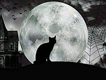 Попасть на ведьминский шабаш и увидеть Дом сказочника: в Светлогорске покажут спектакль-прогулку