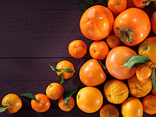 Хурма и мандарины к Новому году. Чем кормят животных в Минском зоопарке зимой?