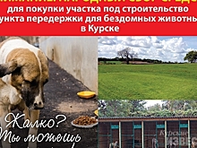 Курские волонтёры объявили сбор на строительство пункта передержки для бездомных животных