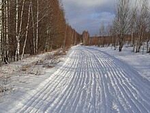 Спорт для всех: как «Лукойл» поддерживает ЗОЖ в Кстовском округе