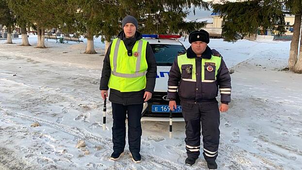 Полицейские Мордовии помогли попавшему в беду на трассе водителю из Турции, не говорящему по-русски