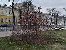 Куряне раскритиковали светодиодные инсталляции у памятника Георгию Свиридову
