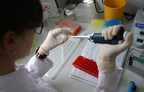 Новосибирские ученые ищут лекарство от "полярной" депрессии