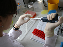 Новосибирские ученые ищут лекарство от "полярной" депрессии