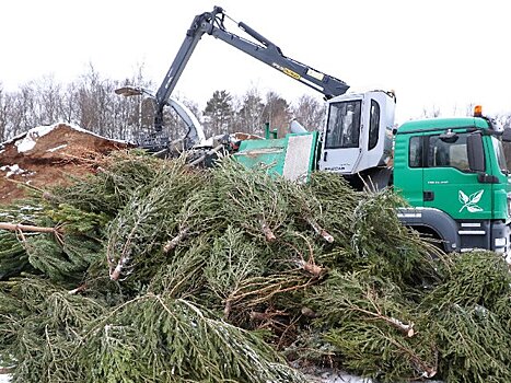 Москва онлайн покажет работу пункта утилизации новогодних елок