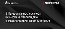 В Петербурге после жалобы бизнесмена уволили двух высокопоставленных полицейских