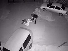 У кафе Балакова жестоко избили девушку. ВИДЕО