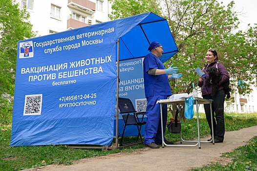 В Москве на площадках для выгула собак откроется 120 пунктов вакцинации