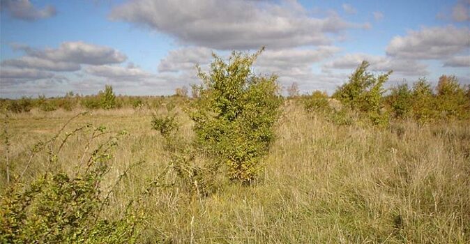 В Хакасии депутаты заксобрания предложили изменить Гражданский кодекс РФ