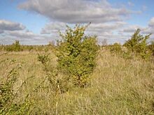 В Хакасии депутаты заксобрания предложили изменить Гражданский кодекс РФ