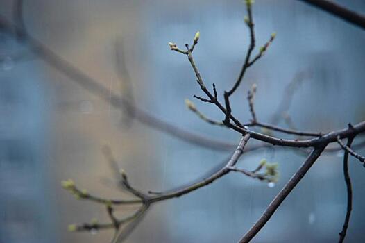 Скоро весна: озвучен предварительный прогноз погоды на март в Приморье