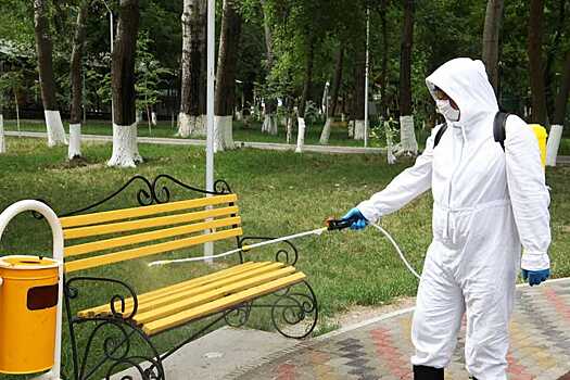 В Воронеже антиковидную дезинфекцию собираются проводить в парках