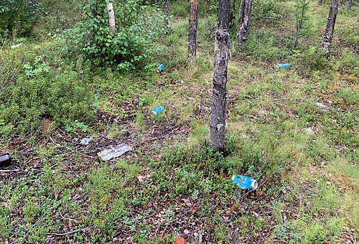 Жители ЯНАО идут в лес за грибами, а вынуждены собирать мусор