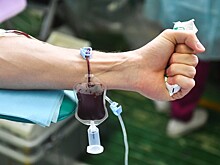 «Это немножко похоже на чудо»: россиянка рассказала о переливании плазмы